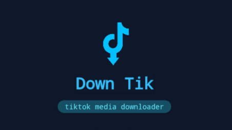 Tiktok Media Downloader